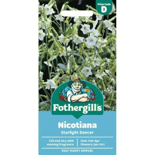 Nicotiana Starlight Dancer Flower Seeds Product Image